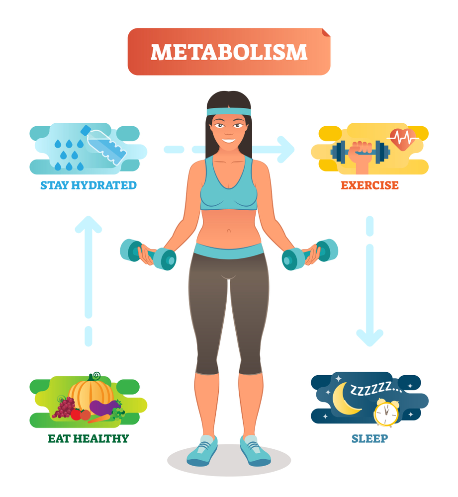 metabolism-and-your-hormones-jillian-michaels