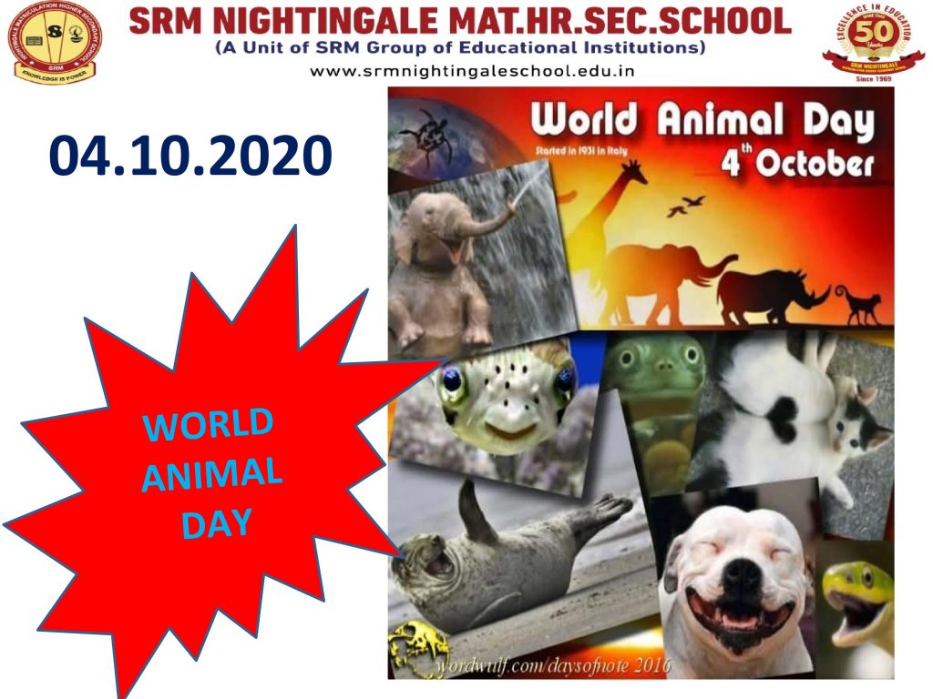 World Animal Day – Student Activities – SRM Nightingale School